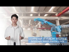 رافعة على متن السفينة 9T16.3M للتعامل بكفاءة مع البضائع